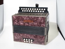 Fisarmonica fisarmonica