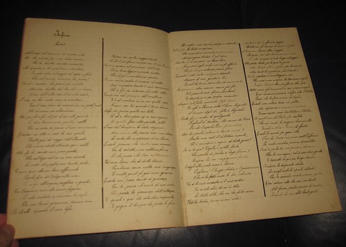 1880 manoscritto letteratura - manoscritto,