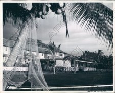 1953 Grande Isola delle Hawaii