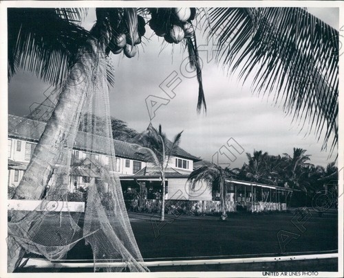 1953 grande isola delle hawaii - 1953,