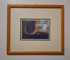 Mario Schifano Fotografia