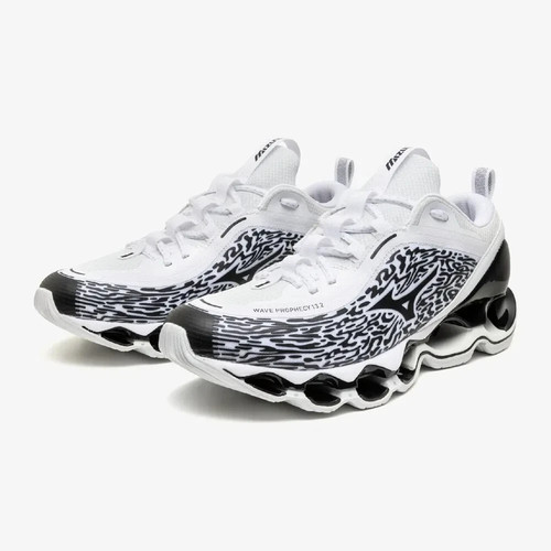 Mizuno wave prophecy 2 - wave, 13.2