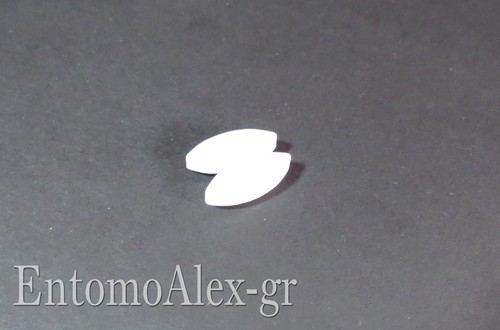 Ancoretta magnetica ptfe - magnetica,