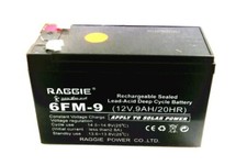 Batteria raggie 6fm 12v 9ah - batteria,