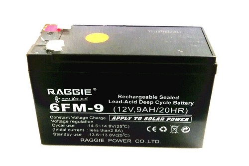 Batteria raggie 6fm 12v - raggie,