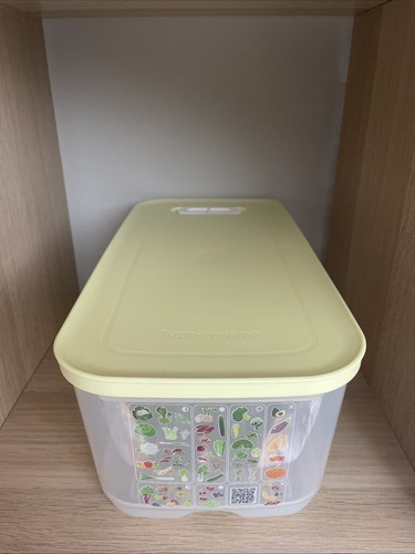 Tupperware oasi climatica - tupperware,