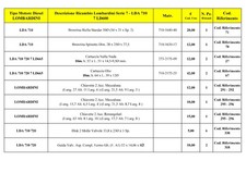 Ricambi Motori Lombardini