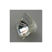 Compatibile con lampadine