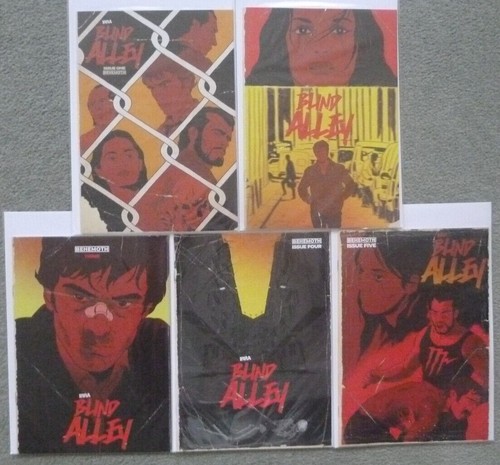 Blind alley 5 - blind,