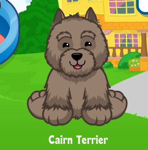 Webkinz classic cairn terrier - webkinz,