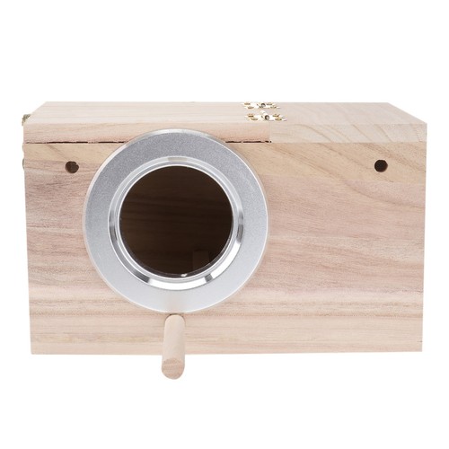 Budgie nest box - budgie, allevamento