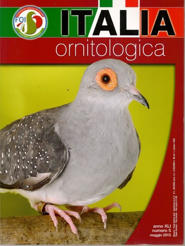 Italia ornitologica maggio - italia,