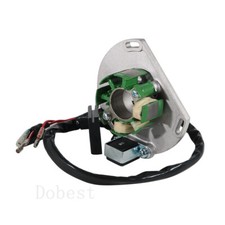 Bobina Statore Alternatore per