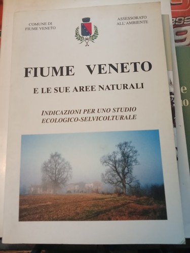 Fiume veneto sue - sue, aere