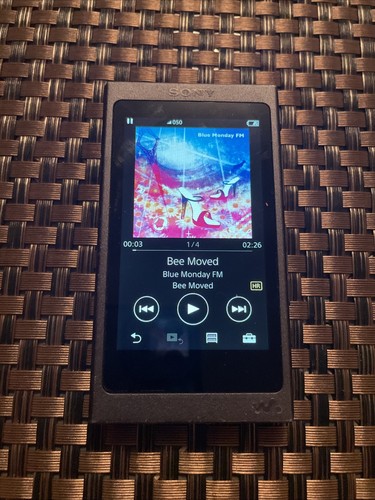Sony a35 lettore - nw-a35,