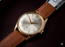 Monvis Special 17jewels Swiss