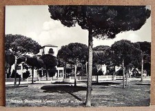 Milano Marittima (Cervia) - villa in pineta [grande, b/n, viaggiata]
