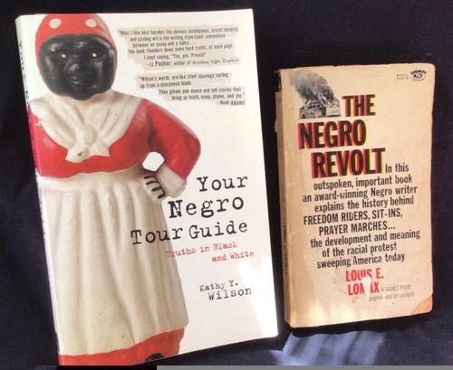 Lot the negro revolt by - revolt,