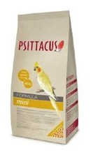 Psittacus estrusi piccoli - psittacus,