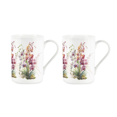 Tazze orchidee piante - tazze,