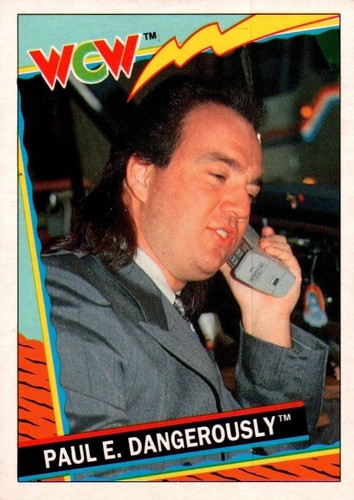 1992 wcw topps paul - 1992,