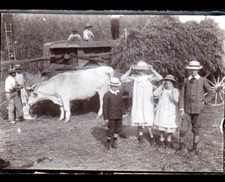 AGRICULTURE / ATTELAGE