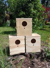 Nido In Legno Per Piccoli