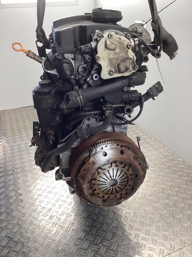 Motore lupo 6e senza - lupo, 6x/6e