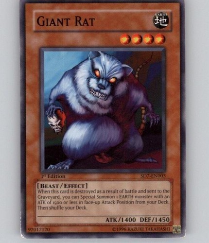 Giant rat - rat, (sd7-en003)