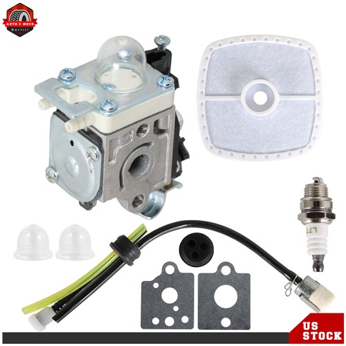 Carburatore per soffiatore