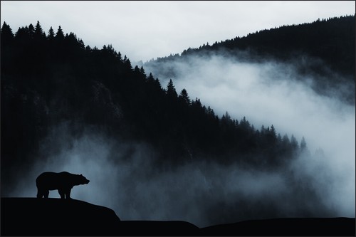 Fotomurale vinile xxl carta - fotomurale,