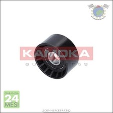 Tendicinghia cinghia poly v