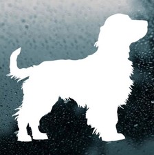 Adesivo Springer Spaniel in