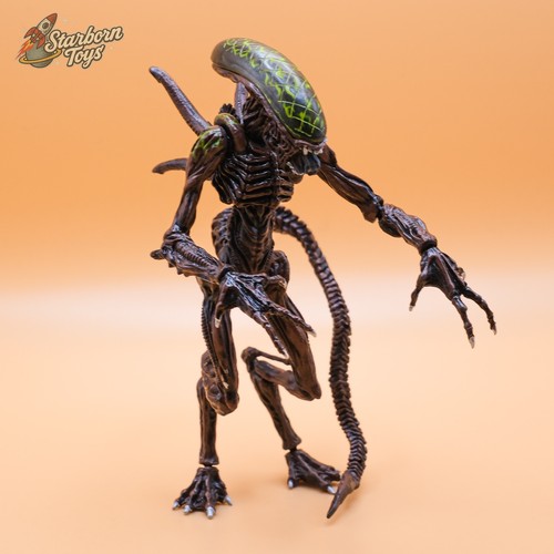 Hot toys grid alien xenomorph - hot,