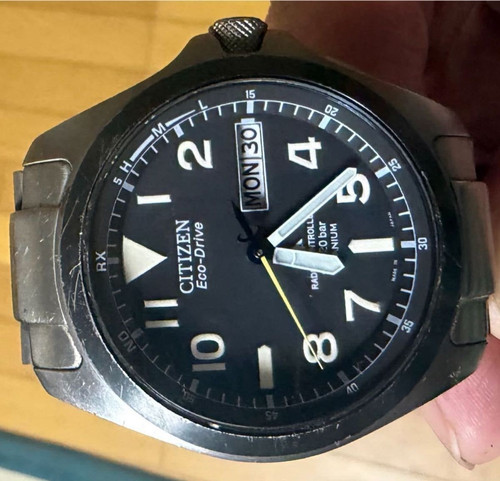 Citizen promaster land - promaster,