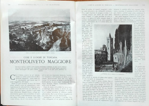 Monte oliveto maggiore - oliveto,