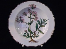 Piatto da zuppa Villeroy & Boch Botanica piatto per insalata Ø 22 cm