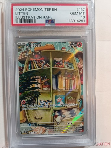2024 pokemon 167 tef - 2024,