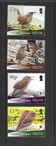 Isole falkland 2009 - 2009, specie