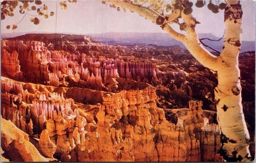 Bryce canyon sunset point - bryce,