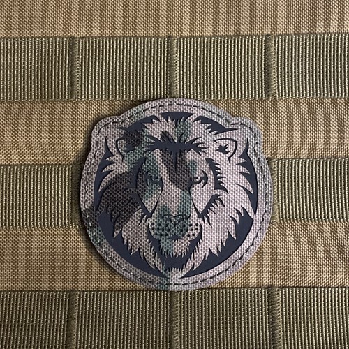 Lion wild safari - lion,