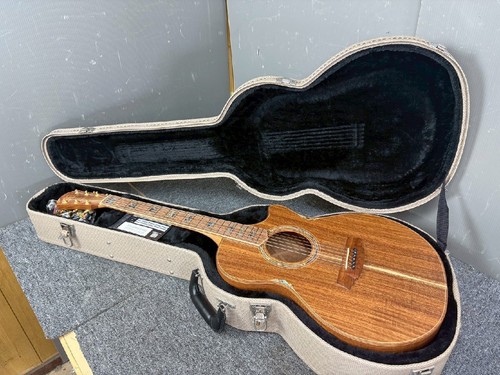 Chitarra elettrica acustica