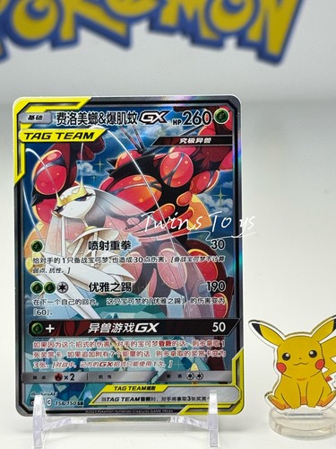 Shining synergy 2023 feromosa - synergy,