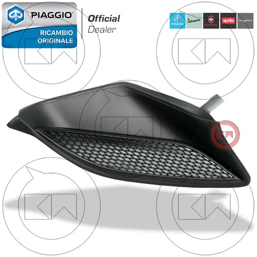 Griglia scudo anteriore - scudo,