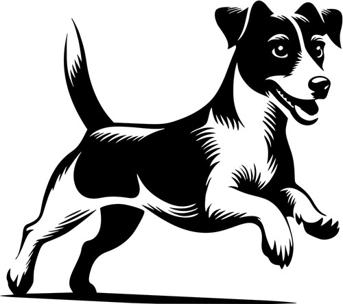 Adesivo jack russell terrier - russell,