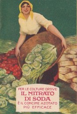 P02827 - CALENDARIETTO DA