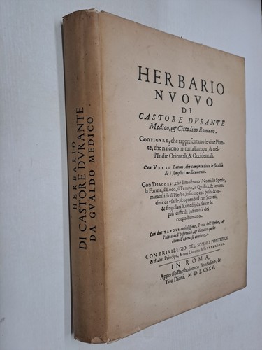 Herbario nuovo castore - herbario,