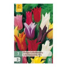 Bulbi di Tulipano Fior di Giglio Mix - Olandesi a fioritura garantita (7 pz)