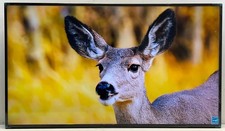 Sony 50" BRAVIA Professional