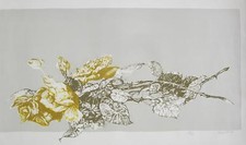 Vespignani Renzo - FIORI - serigrafia originale 1968 - cm 71x48